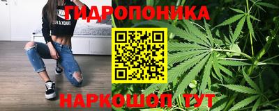 гашик Кунгур