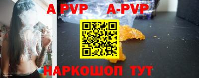 гашик Кунгур